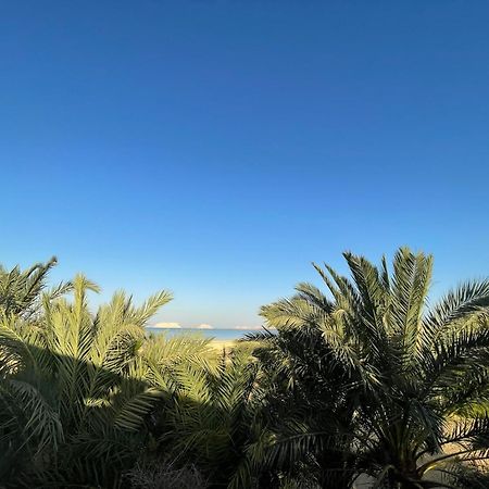 The Nest Hotel Siwa Oasis Екстериор снимка