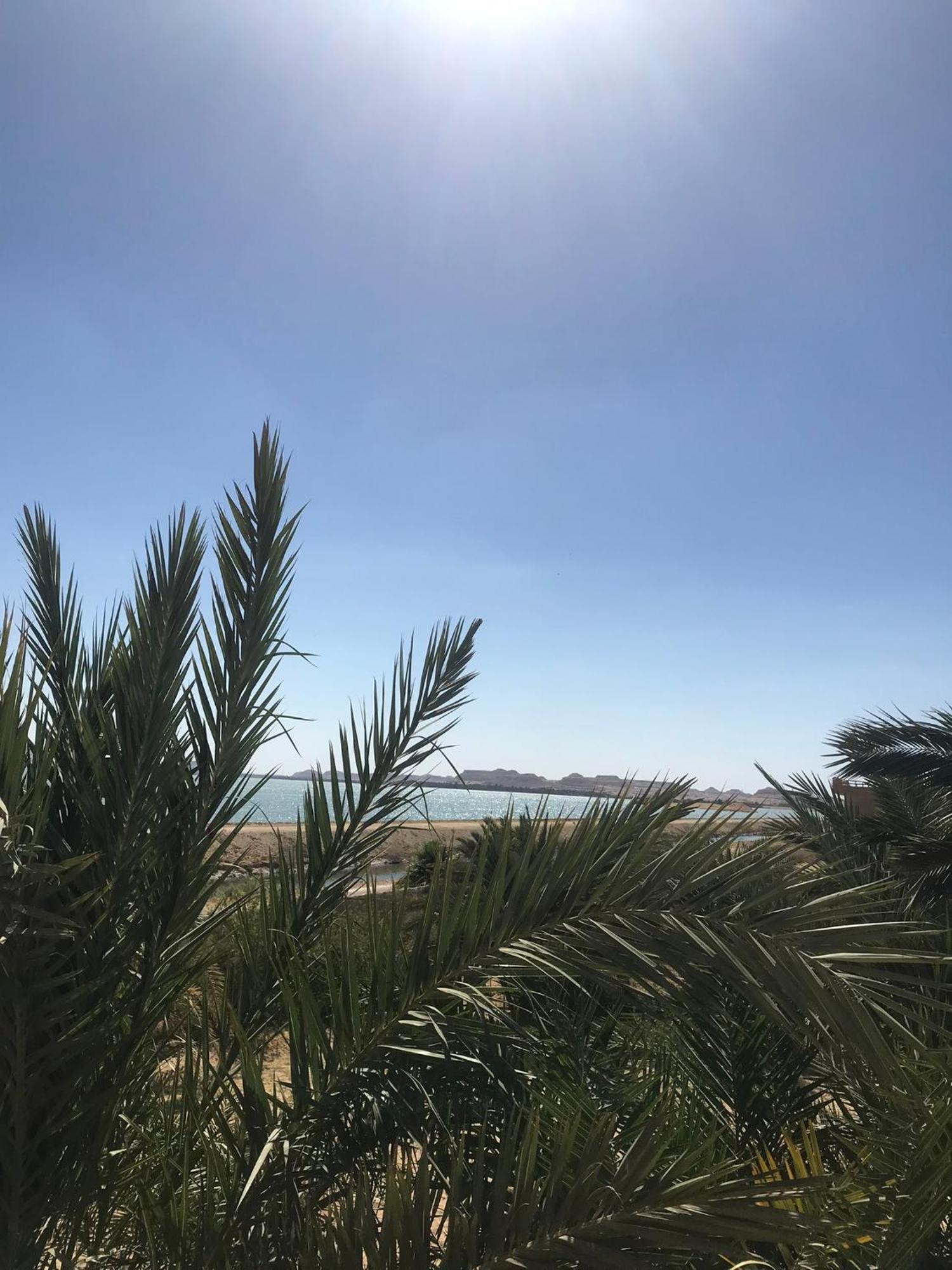The Nest Hotel Siwa Oasis Екстериор снимка