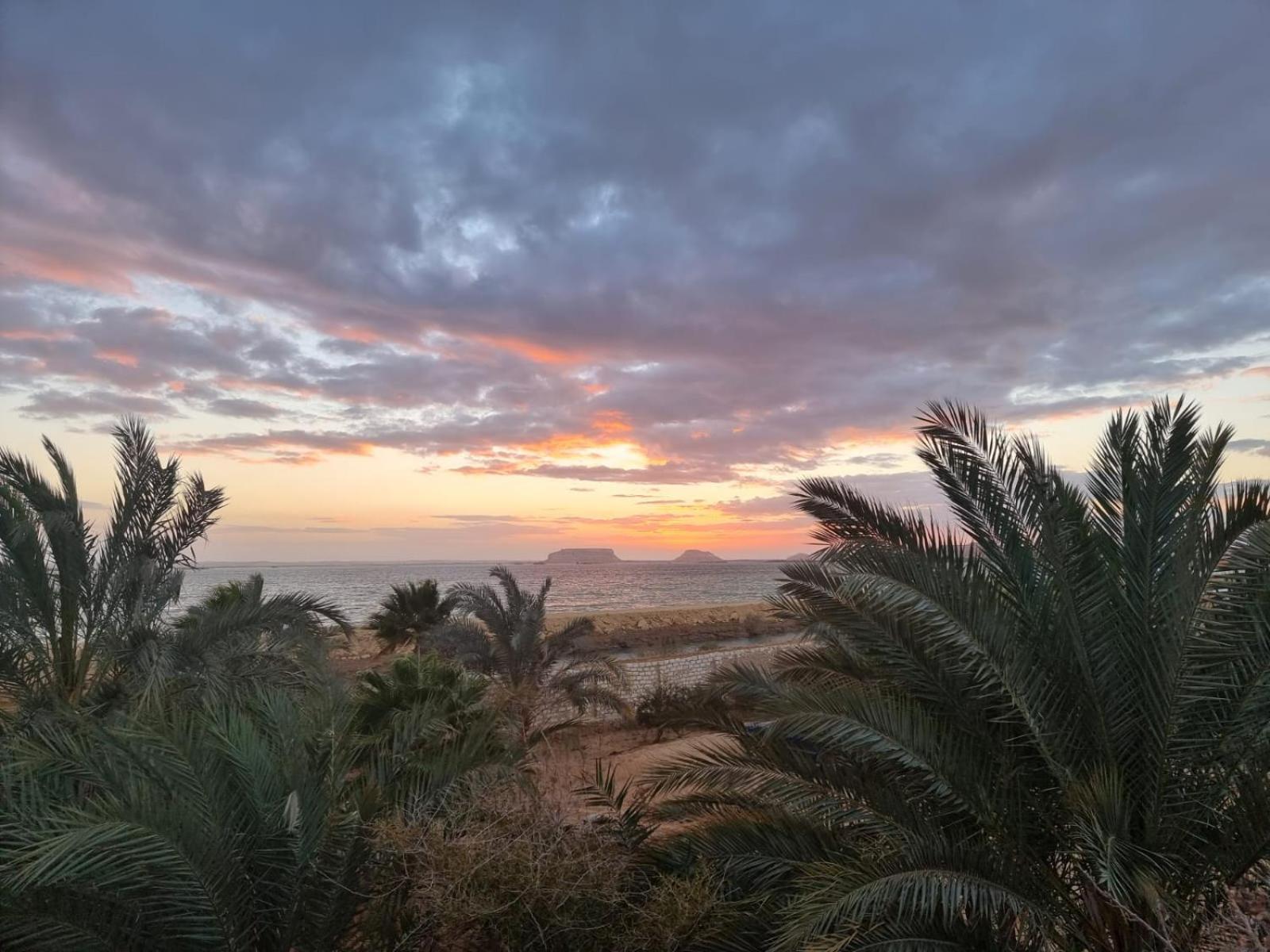 The Nest Hotel Siwa Oasis Екстериор снимка